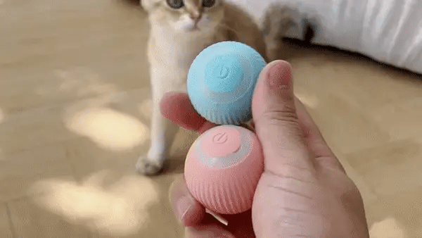 Kattbollen