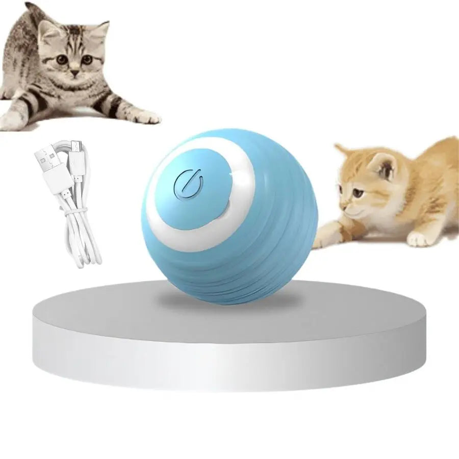 Kattbollen