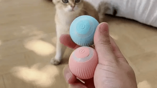 Kattbollen